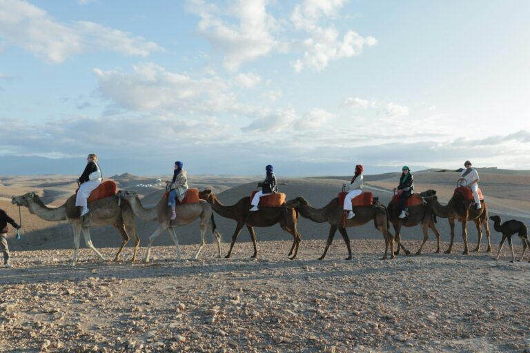 Travelers riding camels through the Agafay Desert