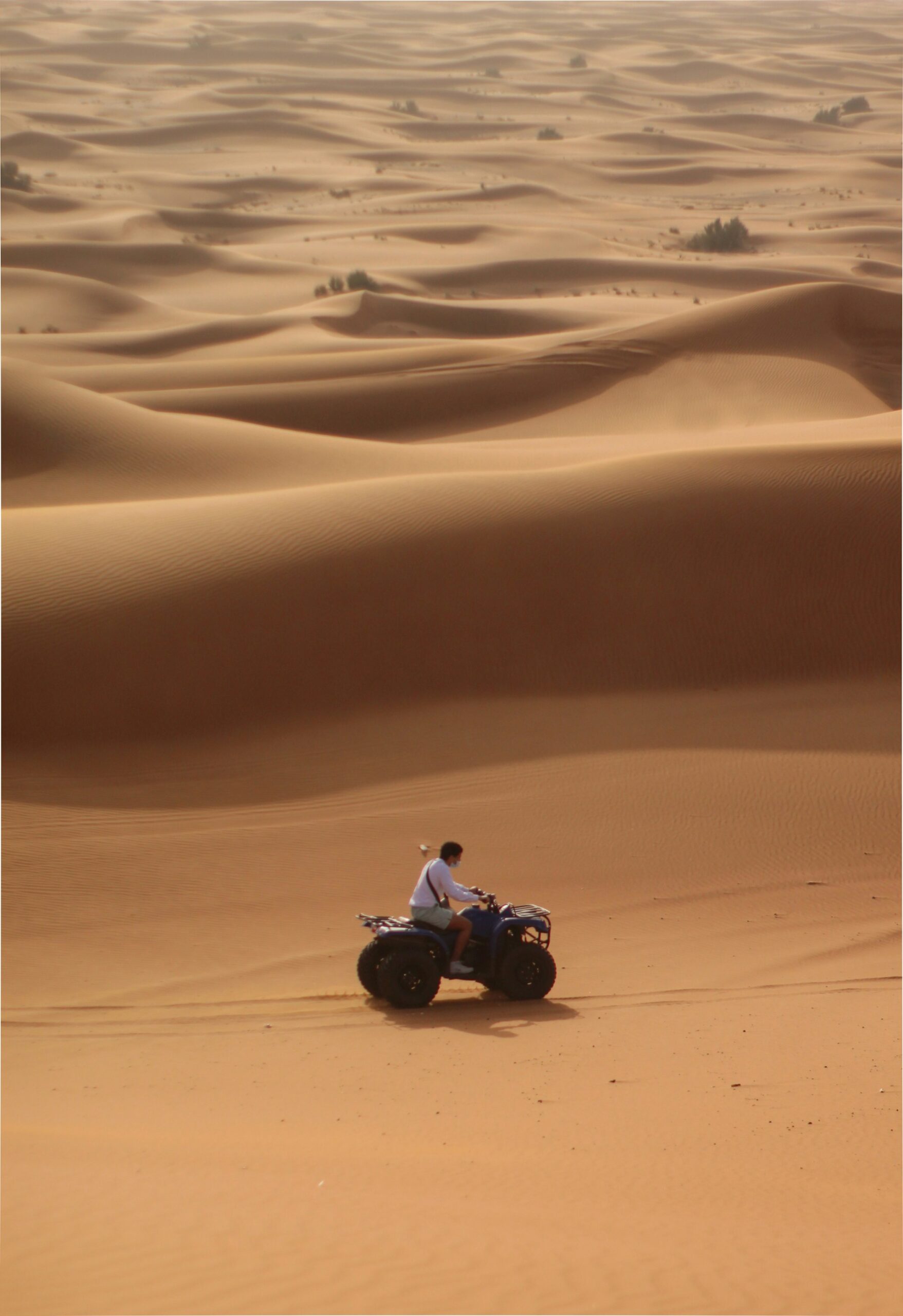 Driver on a four-wheeler riding through the desert