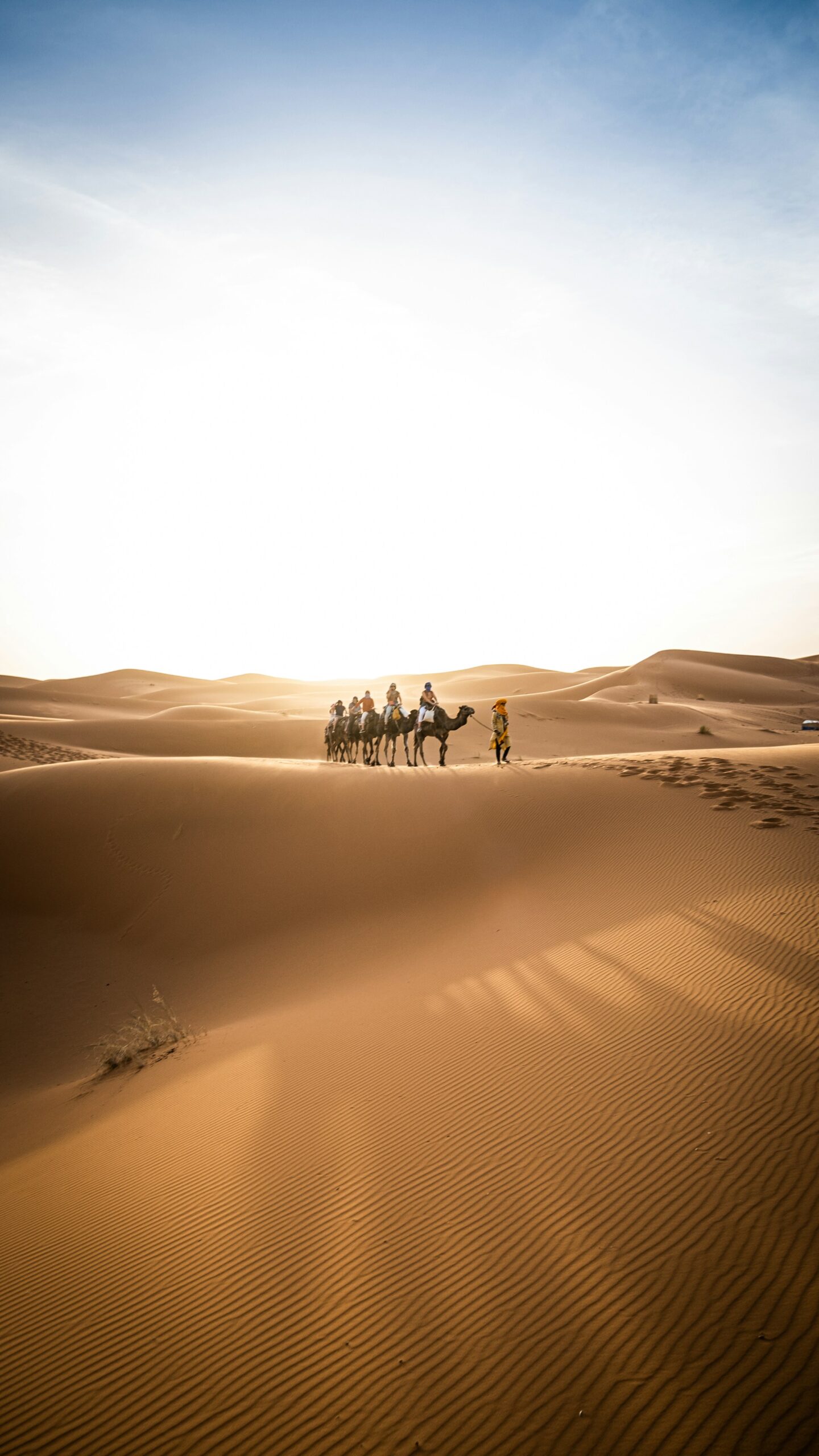 Line of camels carrying travelers across the dunes near Merzouga