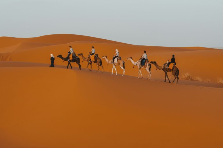 Group of travelers riding camels in a caravan across the Sahara dunes in Morocco