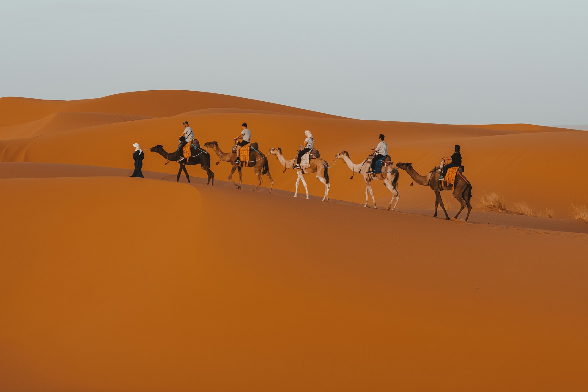 Best Marrakech Desert Tours: How to Choose the Right Trip