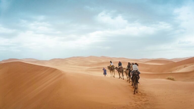 Group of travelers riding camels on a short ride near Marrakech