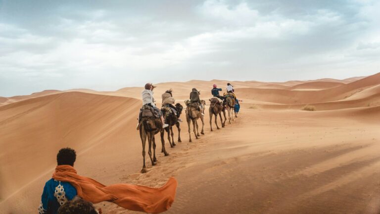 Several travelers riding camels across the Sahara desert during the day
