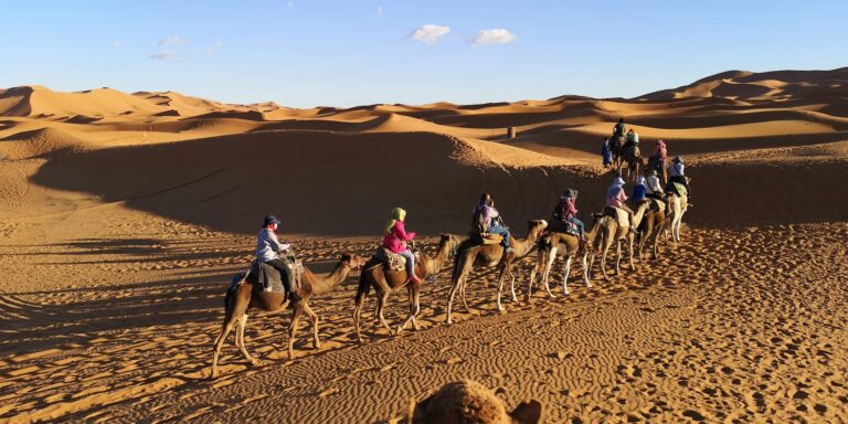 Travelers camel trekking across the desert in daylight