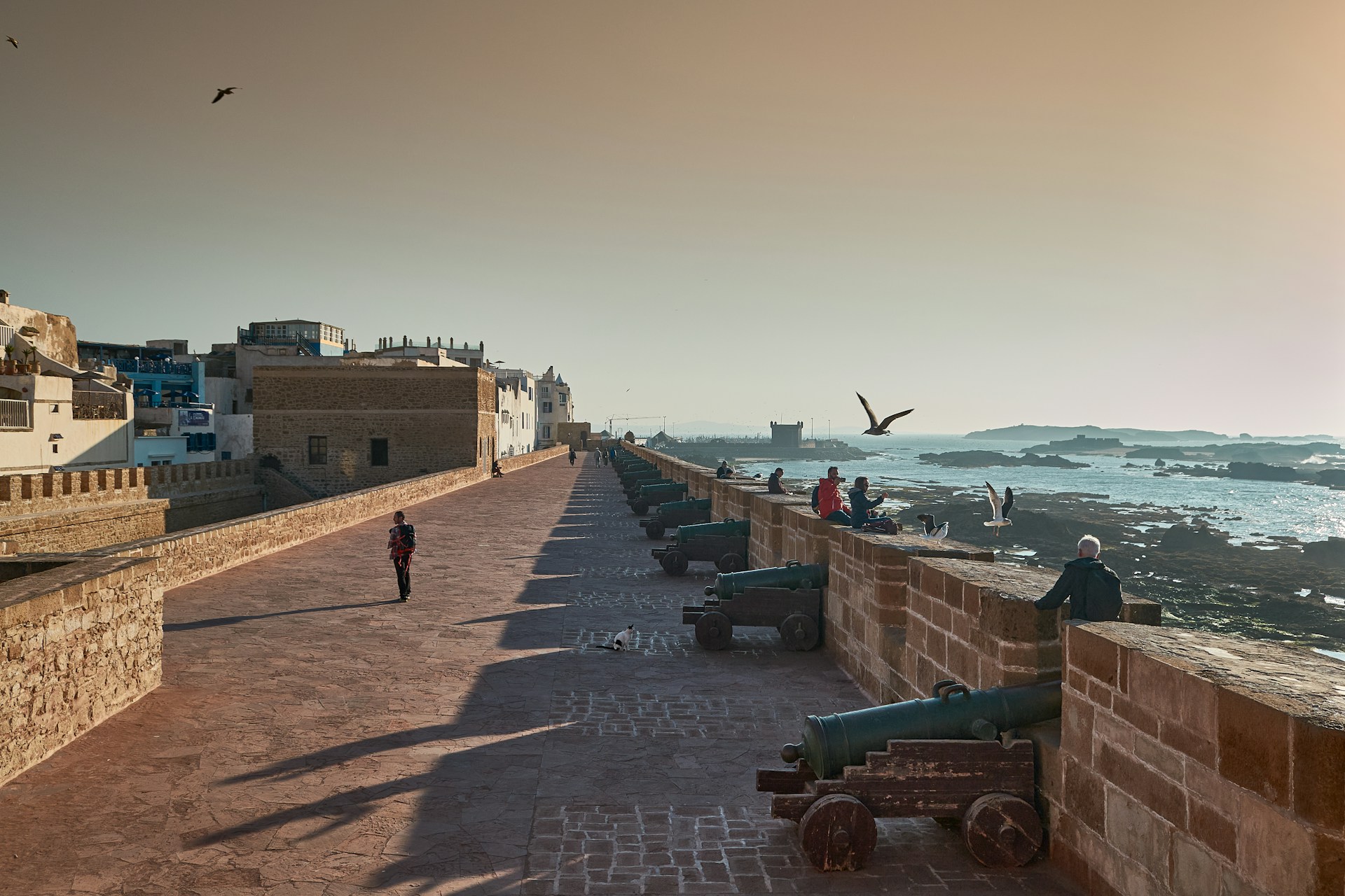 Essaouira's historic sea walls overlooking the Atlantic Ocean and the town
