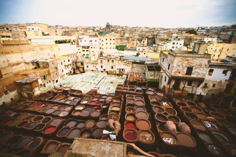 Dense houses of the Fes el-Bali medina in daylight