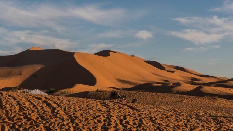 Group of friends sitting on top of a sandy dune
