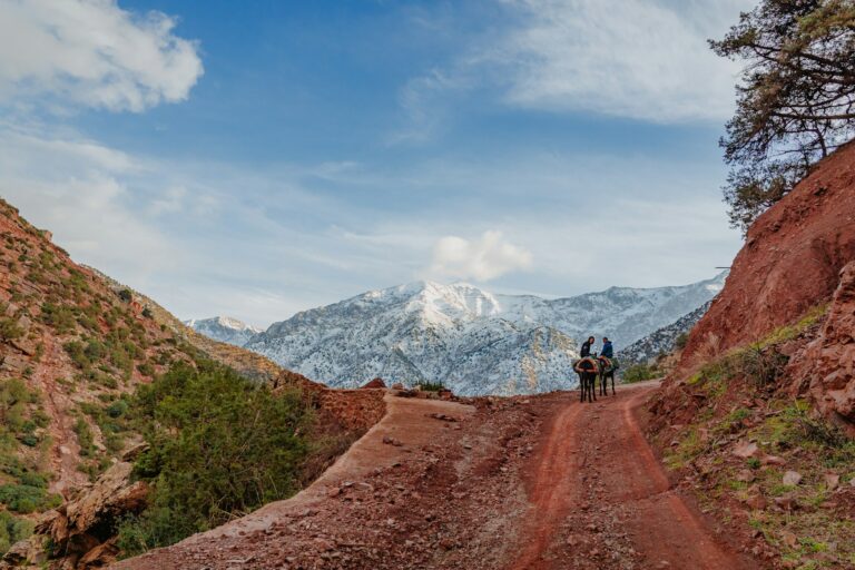 Two people riding donkeys along a dirt path towards the mountains