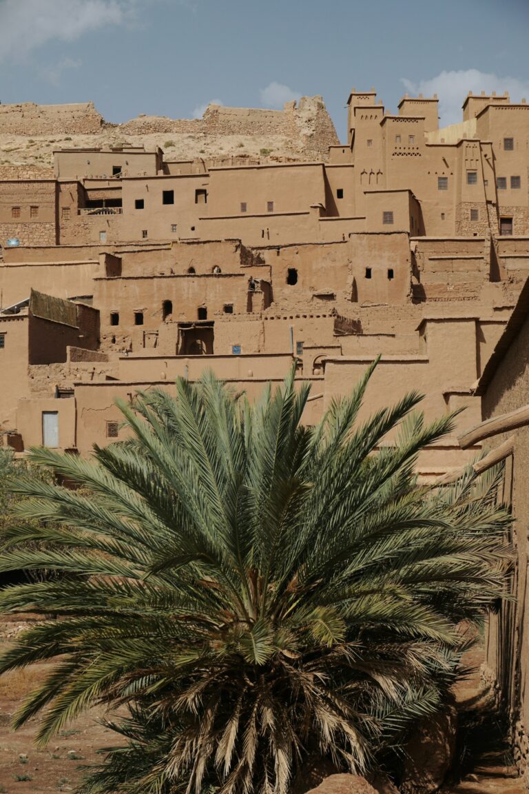 Palm tree in front of an earthen village in the Ouarzazate region