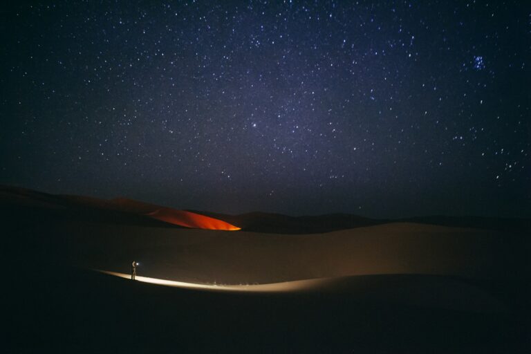 Person standing in the Sahara desert under the night sky