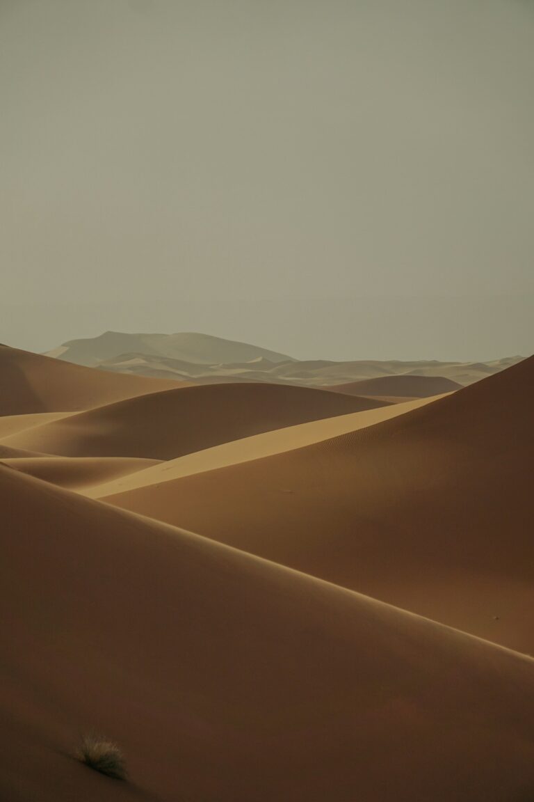 Wide desert landscape of sand dunes in the Moroccan Sahara