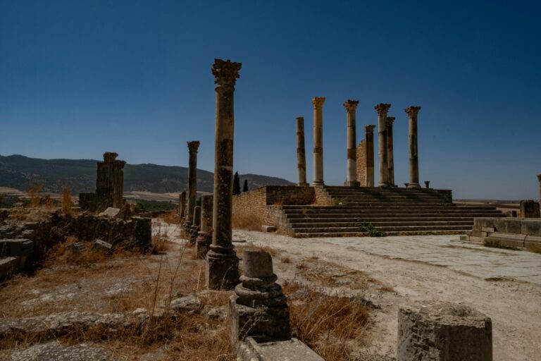Tall Roman columns at the archaeological site of Volubilis near Meknes