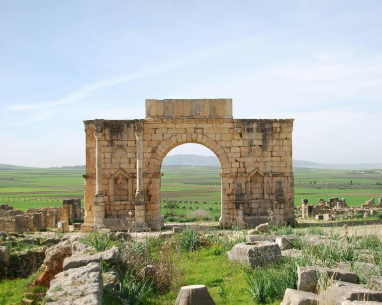 Stone triumphal arch standing in the fields of Volubilis